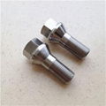 Titanium Wheel Bolts