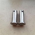 Titanium Dowel Pins 1