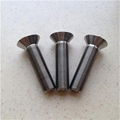 Titanium Countersunk Head Screws