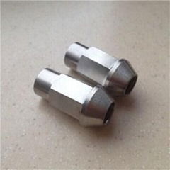 Titanium Lug Nuts