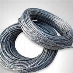 Galvanized Steel Wire Rope