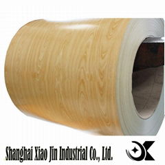 prepainted steel coil/color coated steel