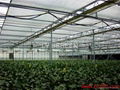 3.25M Width Greenhouse Shade Screen for Saving Heating Cost