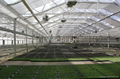 4.3M Width Greenhouse Curtains for Energy Saving and Shading