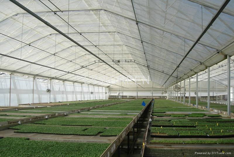 4.3M Width Greenhouse Curtains for Energy Saving and Shading 5