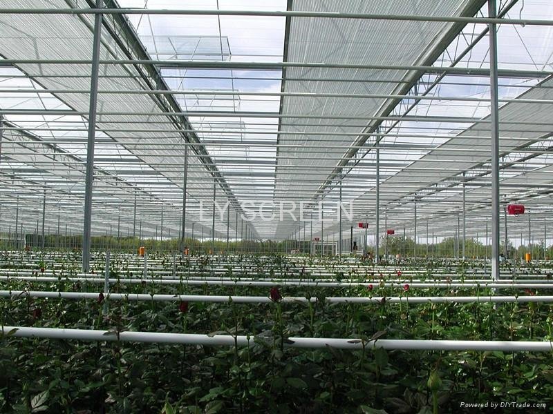 5.3M Width Thermal Screen for Greenhouse Shading and Energy Saving 4