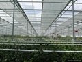 Greenhouse Thermal Light Reflective Screens