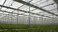 Greenhouse Inner Shading fabric open type 50% shading rate 4