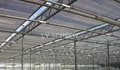 Greenhouse Climate Control Screens Inner Shading rate 65%
