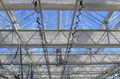 Greenhouse Outside Silver Shading Net 123g per SQM