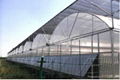 Greenhouse Cooling Aluminium Plastic Net