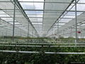 Strong Greenhouse Screen Supporting Wire 2.2mm transparent color 5