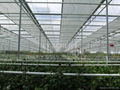 Strong Greenhouse Screen Supporting Wire 2.2mm transparent color
