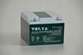 VOLTA（沃塔）廠家生產密封型太陽能鉛酸蓄電池 4