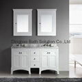 bathroom vanity cabinet 1