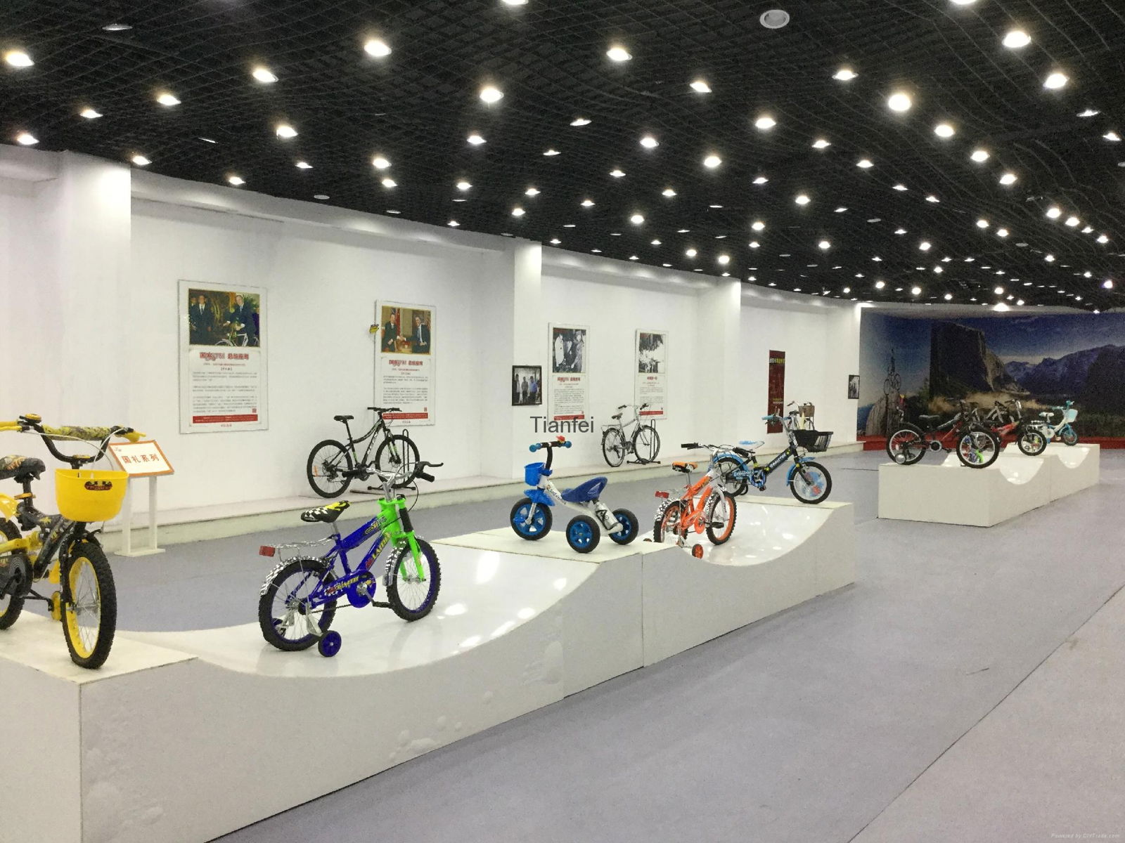 Tianfei Bicycle 5