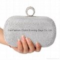 fashional ladies cluch bags Popular  evening bag body-roses evening bag  3