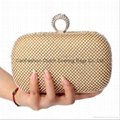 fashional ladies cluch bags Popular  evening bag body-roses evening bag  2