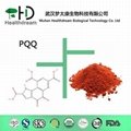 high quality anti-aging Pyrroloquinoline Quinone PQQ, methaxatin powerful 1