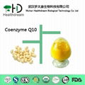 High Quality Coenzyme Q10/Ubiquinol powder