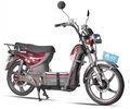 Mens Powerful Coolest AOWA Electric Bikes Light Red Electric Pedal Bikes-28