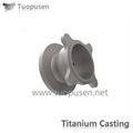  Titanium Casting  valve ASTM B367 4