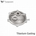  Titanium Casting  valve ASTM B367 3