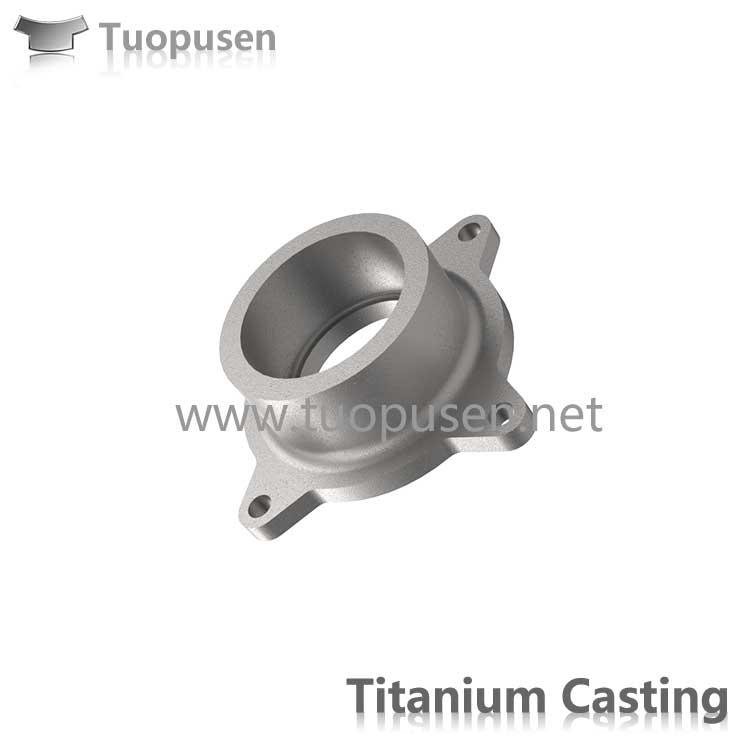 Titanium Casting Product