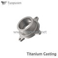 Titanium Casting Product 1