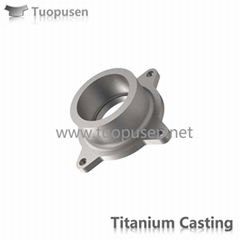 Titanium Casting Product