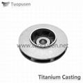 tiatnium investment casting part custom