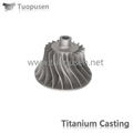 titanium casting valve   Grade C2/3/5  with HIP 2