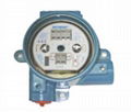 Chinese Temperature Transmitter 1