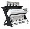 sunflower seeds processing optical sorter by color sorting 1