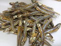 Dried Anchovy 2