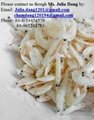 Dried Baby Shrimp 5
