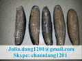 Dried Sea Cucumber 3