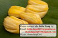 Jackfruit  3