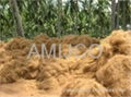 Coconut Fiber 2