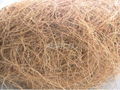 Coconut Fiber 5