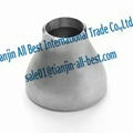 Stainless Eccentric steel Reducers iron pipe fitting 1