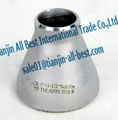 Stainless Eccentric steel Reducers iron pipe fitting 3