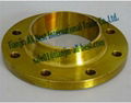 Stainless weld neck flanges forged iron pipe fittings