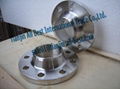 Stainless weld neck flanges forged iron pipe fittings 3