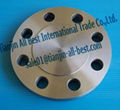 Blind flanges forged Stainless steel 5