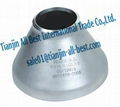 Stainless steel Fittings of Reducers