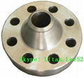 Forged carbon steel  Weld neck Flanges A105  