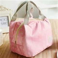 new fashion cooler bag 1