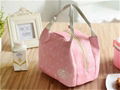 new fashion cooler bag 3