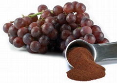 Water Soluble OPC 25%-98% Grape Seed Extract Polyphenol 40%-95% with High ORAC V